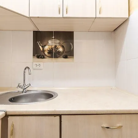 Homey Appartement Lviv