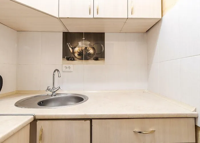 Homey Appartement Lviv